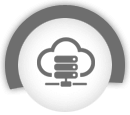 SECURE WEB HOSTING Icon